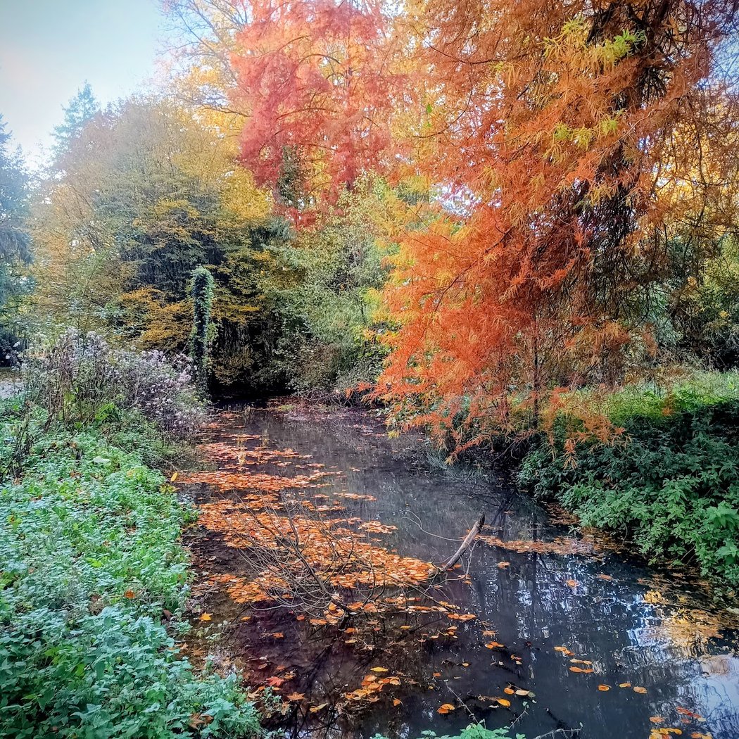 Parc de l'Aleu 3